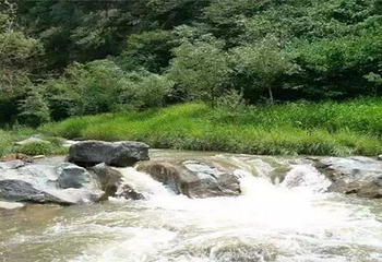 漾家河漂流第 5 张图片