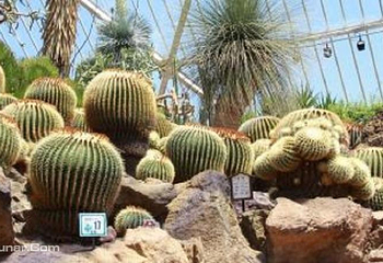 伊豆仙人掌动物园第 5 张图片