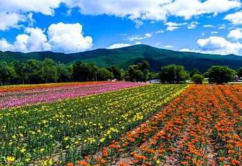 九峰山风景区第 11 张图片