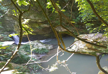 云河谷第 20 张图片