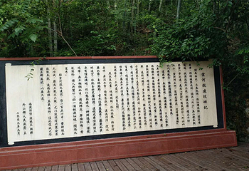 云河谷第 11 张图片