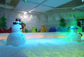 石狮茂险王冰雪世界第 2 张图片