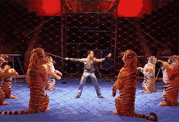 皇家大马戏第 5 张图片