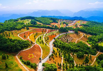 野三关森林花海第 12 张图片