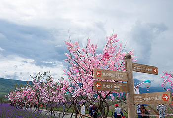 山云序·雪山境界第 23 张图片