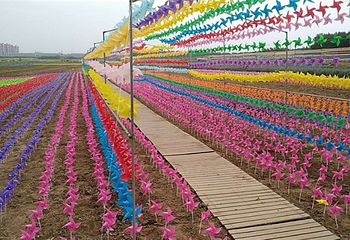 万亩花海景区第 5 张图片
