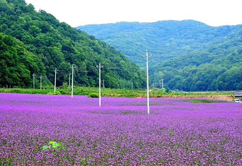 大北岔山风景区第 15 张图片