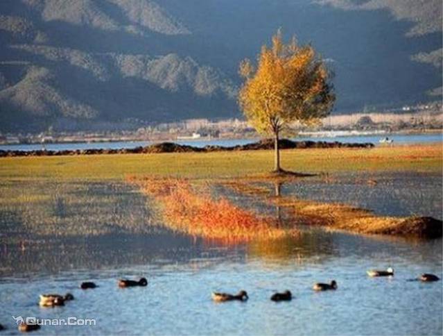 拉市海骥足马场
