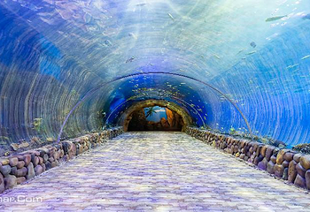 华夏文旅海洋公园第 9 张图片