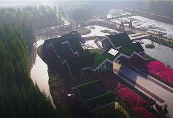 金湖水上森林景区第 4 张图片