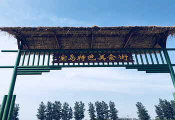 沈阳宝岛阿美族热带农业博览园第 12 张图片