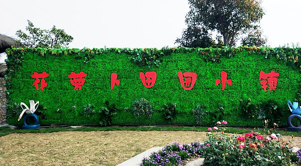 花萝卜小镇