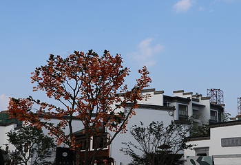 槠溪老街第 26 张图片