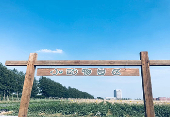 沈阳宝岛阿美族热带农业博览园第 16 张图片