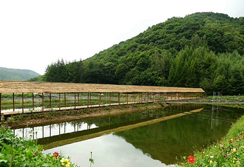 大北岔山风景区第 13 张图片