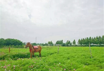 卡乐童话小镇第 6 张图片