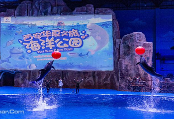 华夏文旅海洋公园第 7 张图片