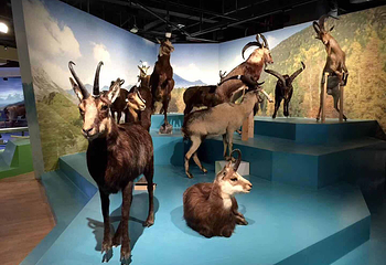 武汉园博园(武汉自然博物馆)第 45 张图片