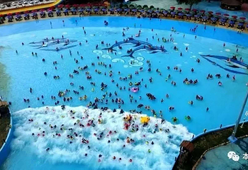 东风湖海豚水世界第 15 张图片