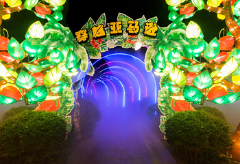 星海欢乐灯会第 13 张图片