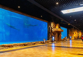 华夏文旅海洋公园第 5 张图片