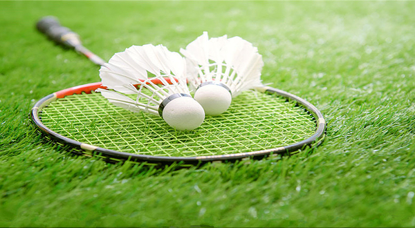 二南开羽毛球馆