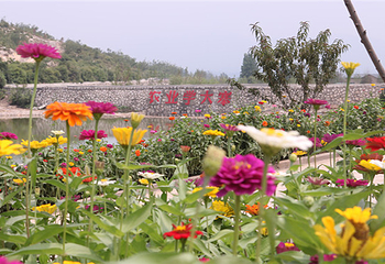 太行药王谷第 3 张图片