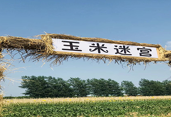 沈阳宝岛阿美族热带农业博览园第 14 张图片