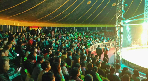 天津梨木台马戏团景区