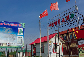 神农葡萄庄园第 5 张图片