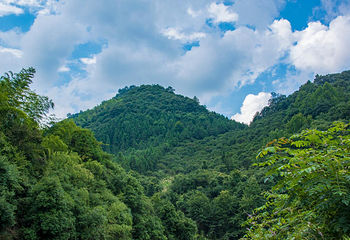 百岁峡抢滩第 28 张图片