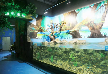 广汉海昌海洋探索馆第 16 张图片
