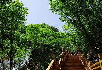 裕龙湾旅游风景区第 7 张图片