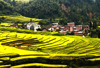 清远金子山原生态旅游风景区第 178 张图片
