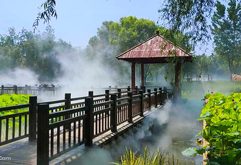滕州微山湖红荷湿地第 9 张图片