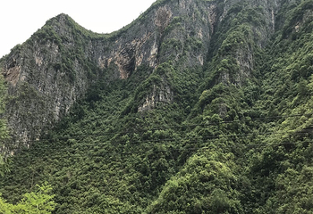 长滩河漂流第 11 张图片
