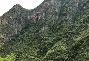 长滩河漂流第 9 张图片
