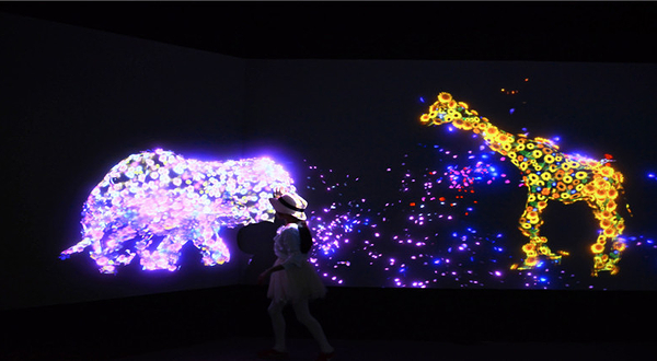 影火虫魔法乐园