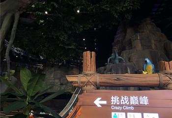 南宁万达雨林乐园第 48 张图片