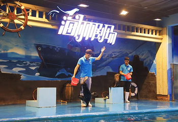 广汉海昌海洋探索馆第 18 张图片