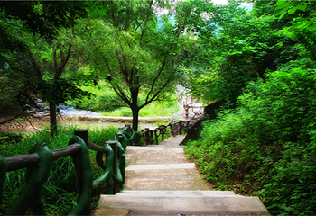 豫西大峡谷风景区第 56 张图片