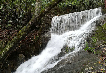 清远金子山原生态旅游风景区第 167 张图片