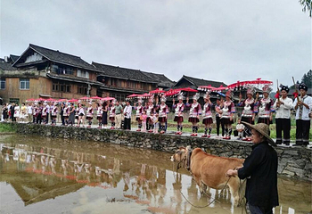程阳八寨第 5 张图片