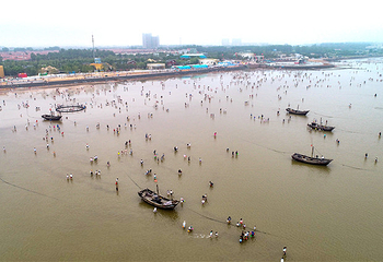 刘家湾赶海园第 15 张图片