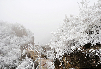 清远金子山原生态旅游风景区第 164 张图片