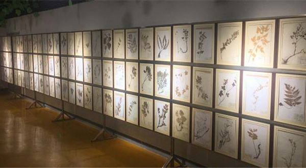 泰山力明艺术宫