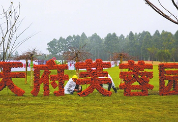 天府芙蓉园第 27 张图片