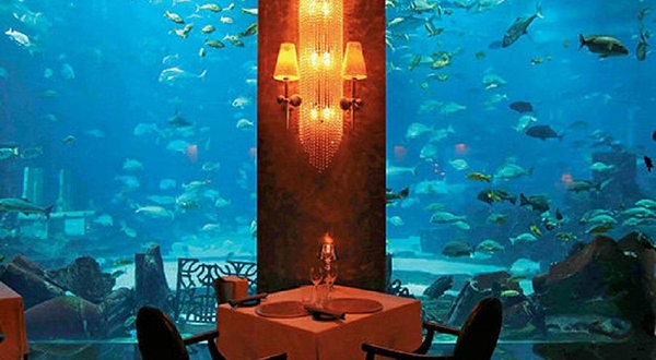 迪拜亚特兰蒂斯Ossiano 海底餐厅