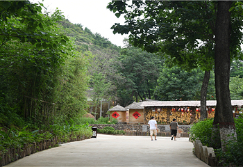 豫西大峡谷风景区第 44 张图片