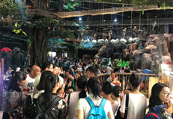 南宁万达雨林乐园第 25 张图片